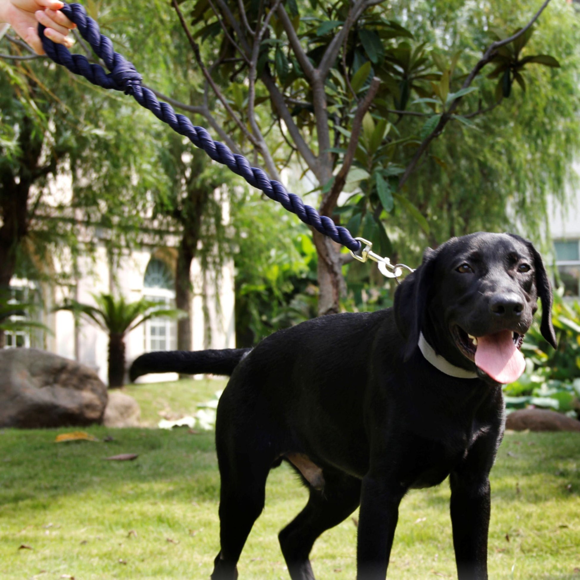 534175691
